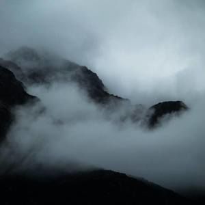 Meet your Posher, Joey